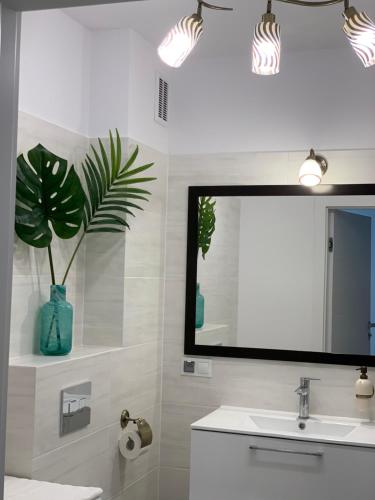 a bathroom with a sink and a mirror and a plant at Apartament Jantarowe Zacisze Rose in Jantar