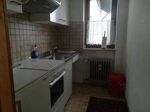 Il comprend une petite cuisine équipée d'un évier et d'une cuisinière. dans l'établissement Ferienwohnung Ziegelbergblick, à Jockgrim