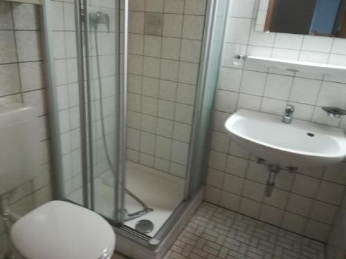 La salle de bains est pourvue d'une douche, de toilettes et d'un lavabo. dans l'établissement Ferienwohnung Ziegelbergblick, à Jockgrim