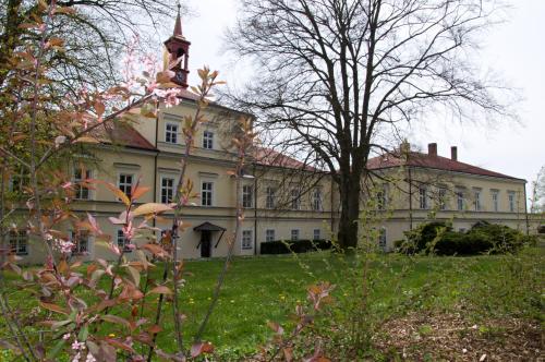 a large white house with a tree in the yard at Penzion Zámek Rozsochatec in Rozsochatec