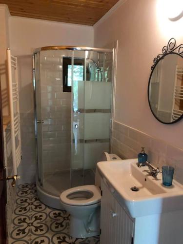 a bathroom with a shower and a toilet and a sink at Conacul Secaria in Secăria