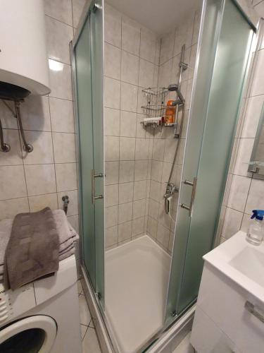 Koupelna v ubytování Apartment Irena