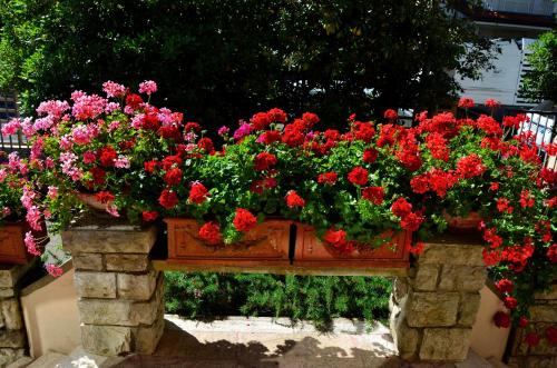 una scatola di fiori piena di fiori rossi e rosa di Hotel Puccinelli a Lido di Camaiore