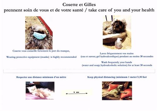 página de un sitio web con un perro con máscara en Hotel Victor Hugo Nice, en Niza