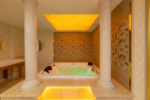 a bath tub with a dog in it in a bathroom at Wyndham Istanbul Old City in Istanbul