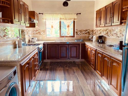 a kitchen with wooden cabinets and a sink at Erica's Self Catering Apartment in Mahe