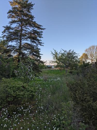 Φυσικό τοπίο κοντά σε αυτή η παραθεριστική κατοικία