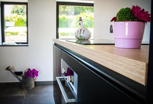 a kitchen counter with a pink pot and flowers on it at Les gîtes de Bouxhmont in Herve