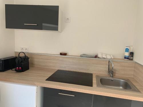 une cuisine avec un évier et un plan de travail dans l'établissement Château Emile Loubet - appartement Maréchal Foch, à La Bégude-de-Mazenc