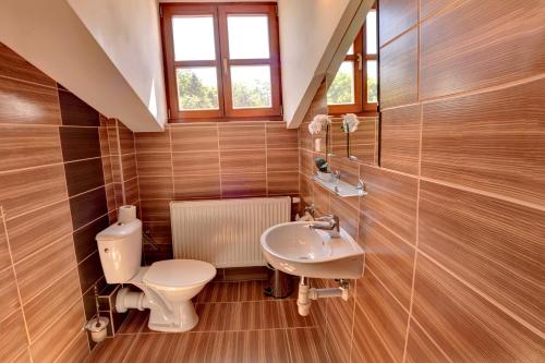 a bathroom with a toilet and a sink at Štiřínská stodola u Prahy in Kamenice