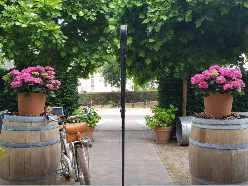 a bike parked in two wine barrels with flowers at Hotel Au Nom De Dieu in Dilsen-Stokkem