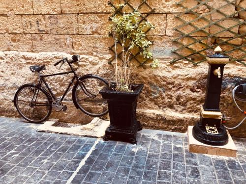 Ciclismo en 10 La Ruelle o alrededores