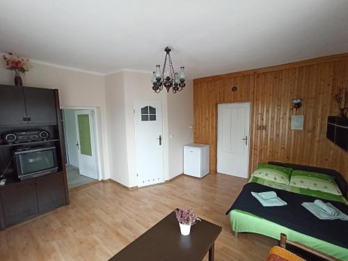 Η κουζίνα ή μικρή κουζίνα στο Apartament-studio, pokoje u Lucy