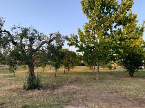 Masseria Montedoro – Photos 4