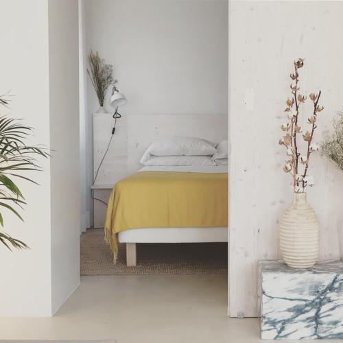 Casasuul Alvor