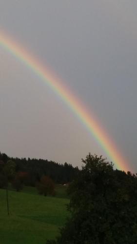 a rainbow in the sky with a field and trees at Zachhof in Ellbögen