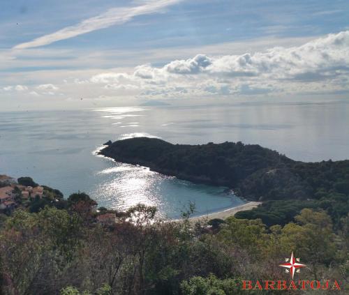 an island in the water with an airplane flying over it at Case vacanza Barbatoja in Fetovaia