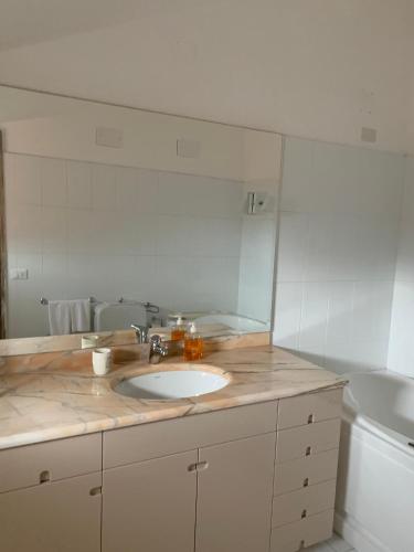 a bathroom with a sink and a large mirror at Agriturismo Tenuta Villa Catena in Paglieta