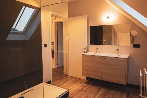 アウデナールデにあるSint Jacobshoeveのバスルーム(洗面台、鏡付)