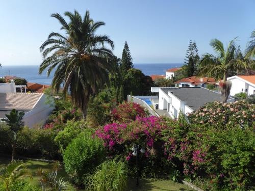 Villa Erika Madeira