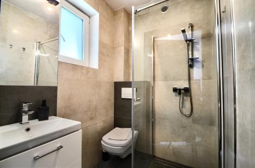 a bathroom with a shower and a toilet and a sink at Willa Luiza in Wisła