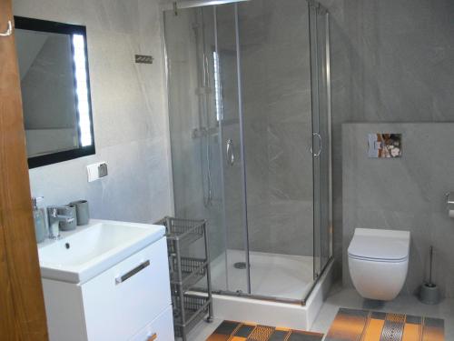 a bathroom with a shower and a toilet and a sink at Apartament w Węgorzewie in Węgorzewo