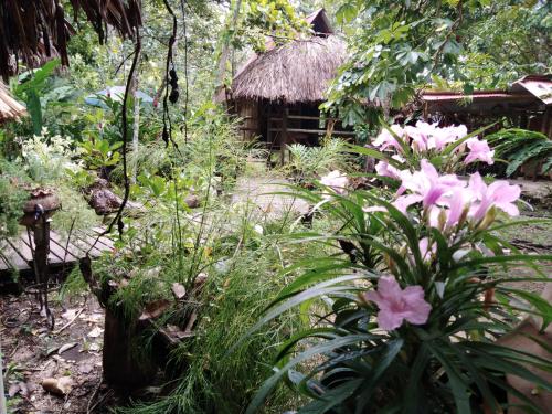 a garden filled with lots of plants and flowers at Casa Bambután in Palenque