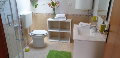 a small bathroom with a toilet and a sink at Apatmani Milena in Opatija