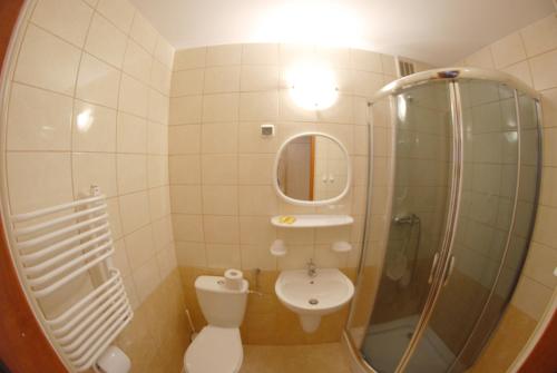 a bathroom with a shower and a toilet and a sink at Hotel Gołuń in Olpuch