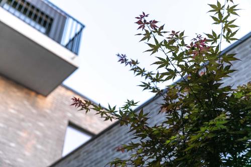 a tree with flowers in front of a building at B&B El Bayo in Ravels