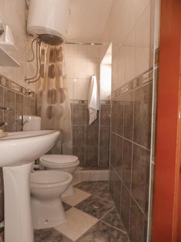 a bathroom with a toilet and a sink and a shower at Guest house Naser in Ulcinj