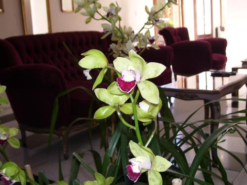 a vase with purple and white flowers in a room at Nuevos Horizontes in Tandil