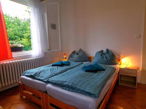 1 dormitorio con cama con sábanas azules y ventana en Penzion U Juráše en Třeboň