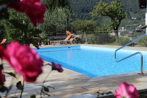 una piscina con tavolo, sedie e fiori di Moserhof a Marlengo