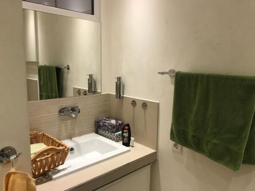 ein Badezimmer mit einem Waschbecken und einem grünen Handtuch in der Unterkunft Loft Mainaublick in Uhldingen-Mühlhofen