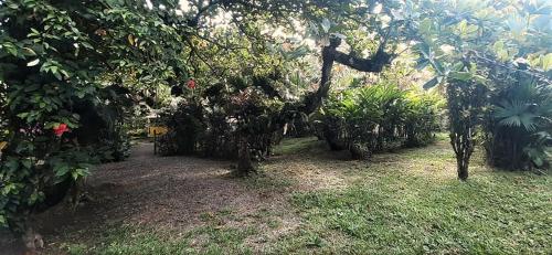 Ein Garten an der Unterkunft Cabinas Algebra