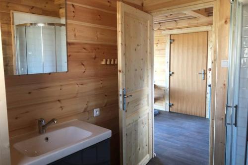 ein Bad mit einem Waschbecken und einem Spiegel in der Unterkunft Studio-Mazot de charme 26 m2 Parc Chartreuse in Vimines