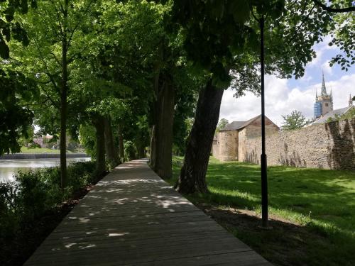 a walking path in a park with trees at Apartmán Polička in Polička