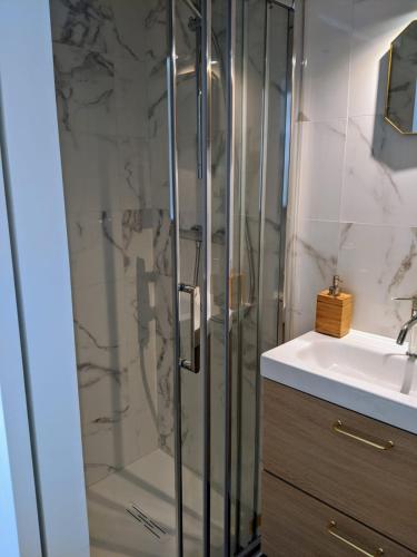 une salle de bain avec une douche en verre et un lavabo dans l'établissement Dalhia Studio centre ville Biarritz, à Biarritz