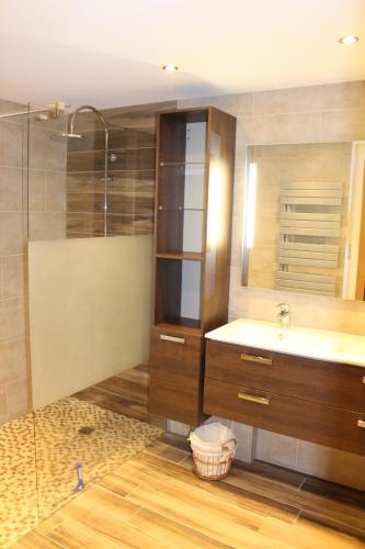 a bathroom with a sink and a shower at chalet bel horizon La Montagne Des Lamas in La Bresse