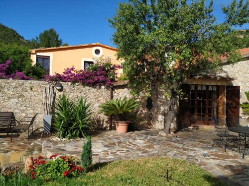 a house with a stone wall and a tree at Casa la Coma in Pratdip