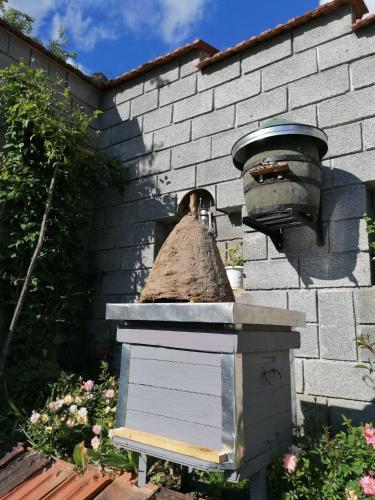 Φωτογραφία από το άλμπουμ του Country house Todor σε Kragujevac