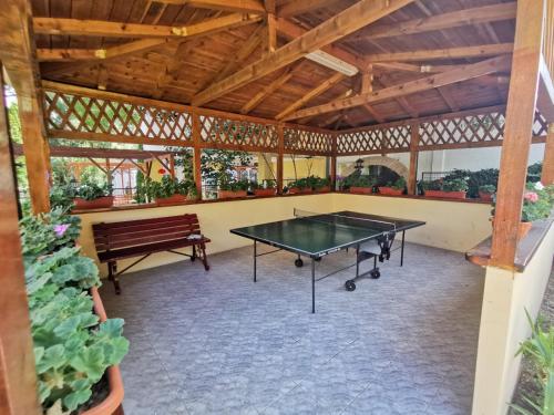 Stolní tenis v ubytování Pensiunea Miruna Valentin nebo okolí