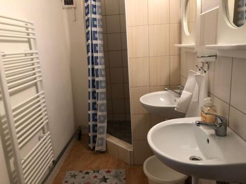 a bathroom with a sink and a toilet and a shower at PODHÁJSKA 110 in Podhájska