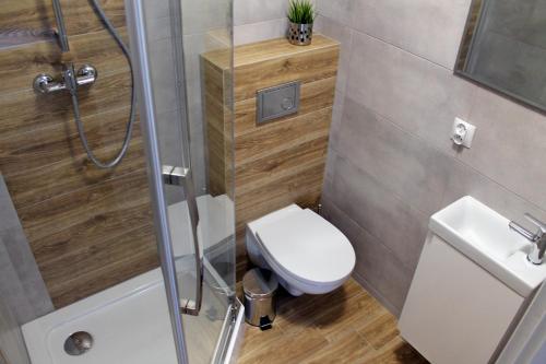 a small bathroom with a toilet and a shower at Apartamenty w Kamienicy in Poddębice
