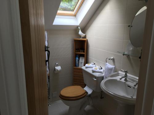 een badkamer met een toilet, een wastafel en een dakraam bij Frogmill Studio in Exeter