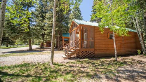 The Colorado Spruce Cabin #15
