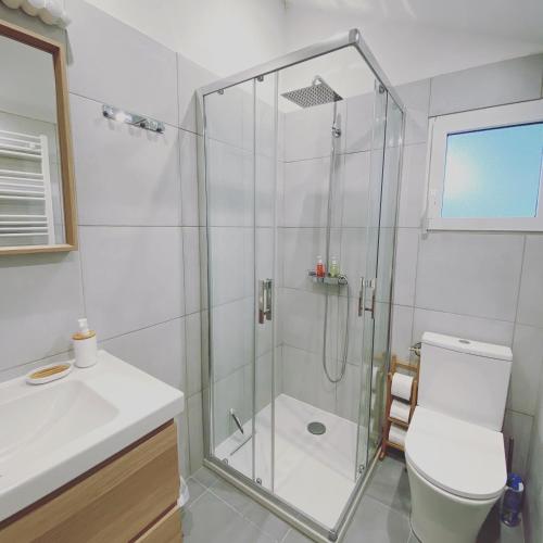 une salle de bain avec une douche avec des toilettes et un lavabo dans l'établissement Cottage-Gite & Jacuzzi - Chez Flo & Marc, à Chouzy-sur-Cisse