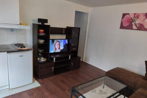 un salon avec un canapé et une télévision dans l'établissement Super Appart ds pavillon, équipé, calme (Ref: KA0), à Montfermeil
