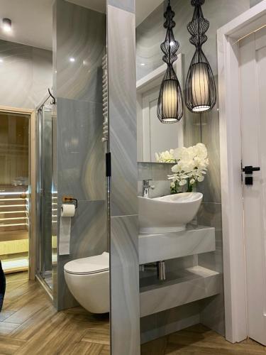 a bathroom with a sink and a toilet and lights at Family & Business Sauna Apartments No 6 Leśny nad Zalewem Cedzyna - 1 Bedroom with Private Sauna, Terrace, Parking, Catering Options in Kielce